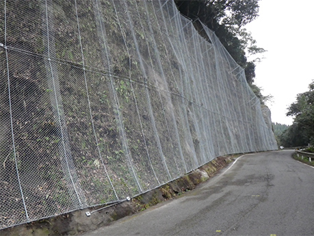 落石防止工(ロックネット、ワイヤーロープ掛工)