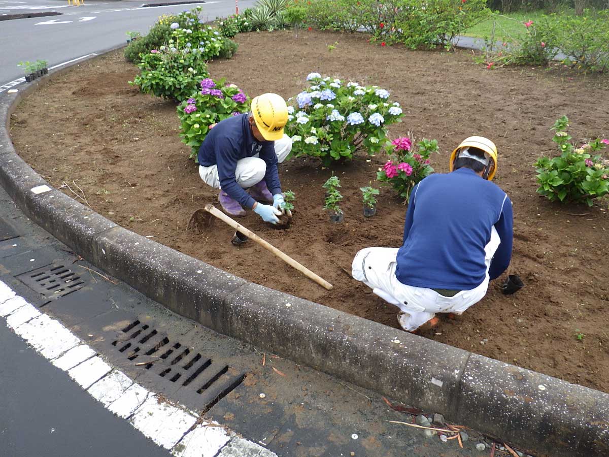ふるさと道のサポート