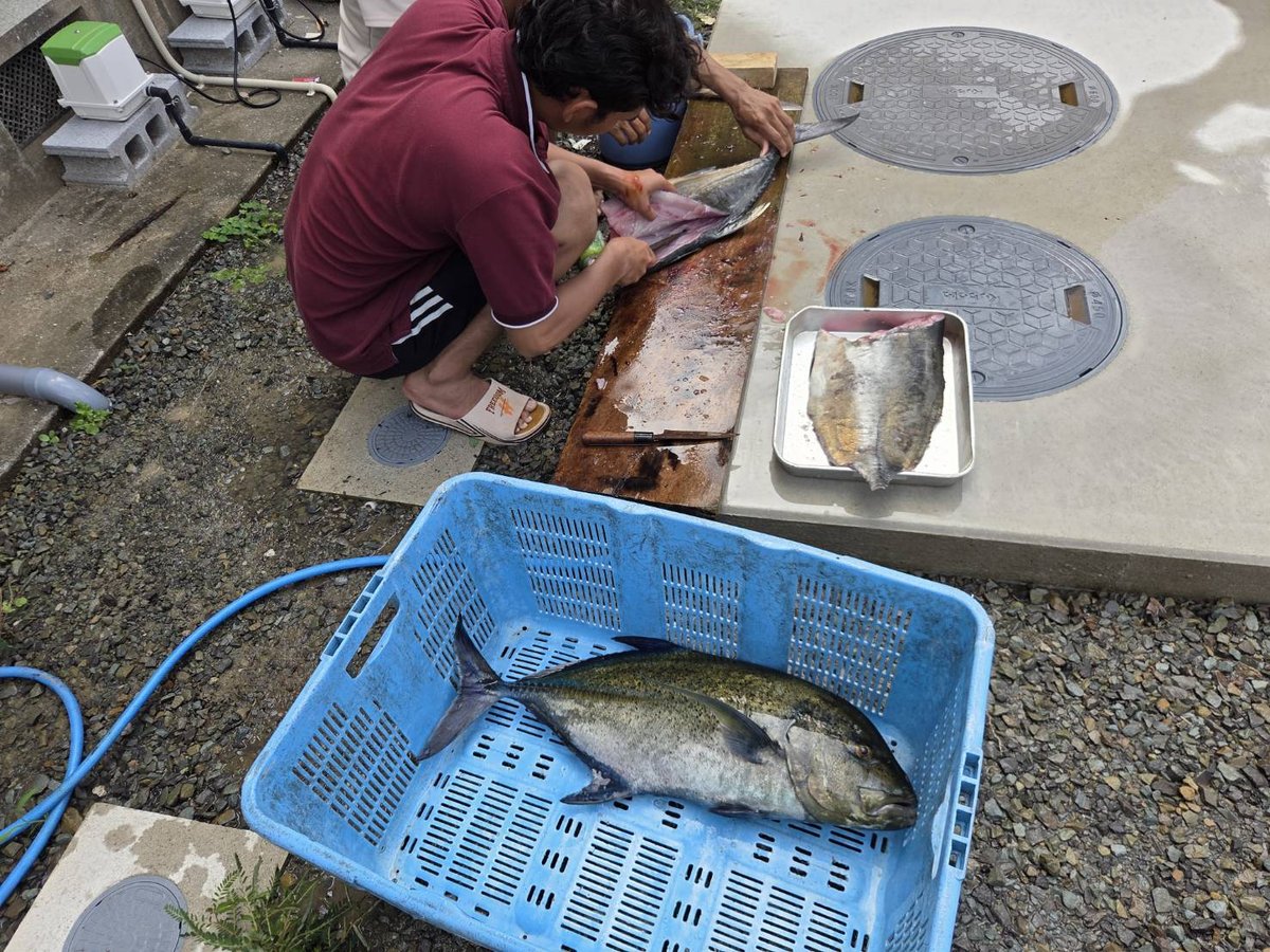 釣り-2